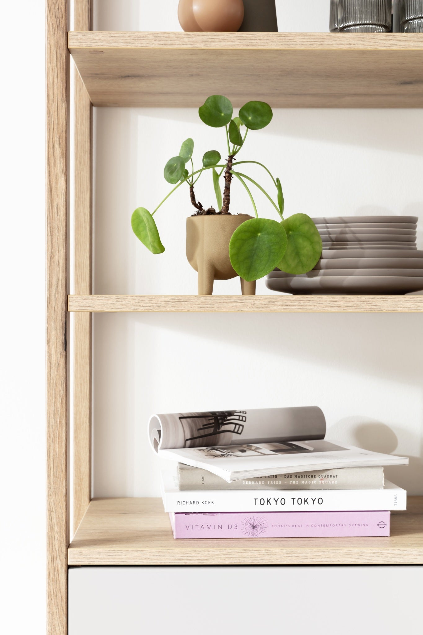 ARENZANO Kombi-Vitrine